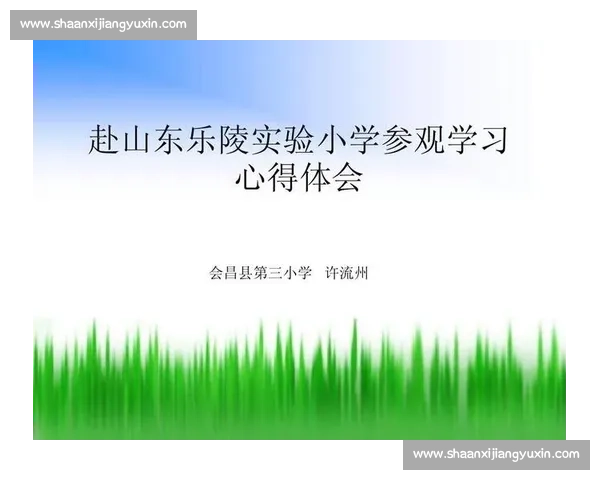 比赛中的成长与反思：心得体会与经验总结分享